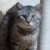 かぴぽん(^_^)