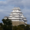 ひるたん