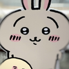 うさぎん🎻🦋