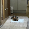 ゆーと