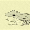 nuco 