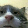 りほ