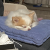 オリバー