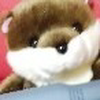 こやんぱぴ