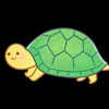 たけどん🐢🩷    