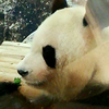 サブウェイ