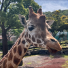 みぃ〜ちゃん🐆