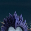 パーポゥ
