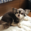 RYOTA