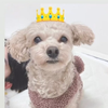 ミッキー💐💍結衣子応援隊