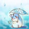 雨の動物園