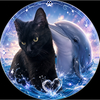 ジジ🐬🍬🌻🐈‍⬛