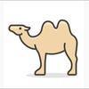 camel