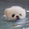 ♡