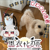 ぬーた