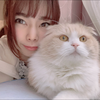 もかちゃんꗯ.* 