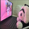 きずな