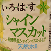 Castella