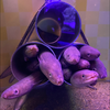 ユーザーアイコン