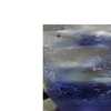 ✡宇宙便所虫☆