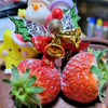 つばさ🍫🩺