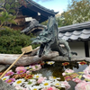 ケン
