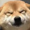 もふもふ