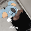 ネッコアラ