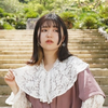 知帆