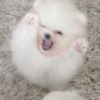 すう