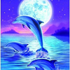 いるか🐬