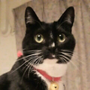 ゆきぢ