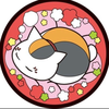 斑