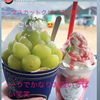 😁🌺✌️🎹🩷🍎Ⓜ️🐱もっちゃん🐹🍭🥋🍀🌻💎