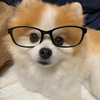 Ⓜ️🐱🎀ʚ🩷ɞもっちゃん🐹🍭🥋❄️🍓🌻💎