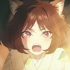 どんぎつね