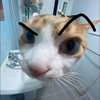 あいく