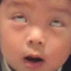 偽◤•ω•◥ ﾅﾊﾅﾊ