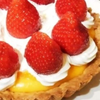 タルト🥧