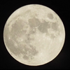 Lune