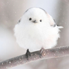 エマ