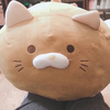 ひろ
