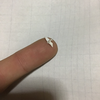 アルスラ