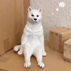 doli