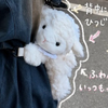 コタロー🐻🍮