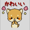 ぽんぽん