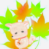 こよ