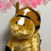🐿️🦋れっど🤍🍙
