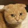 ふらんそわ