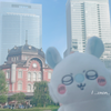 うさぎ‎🤍ྀི